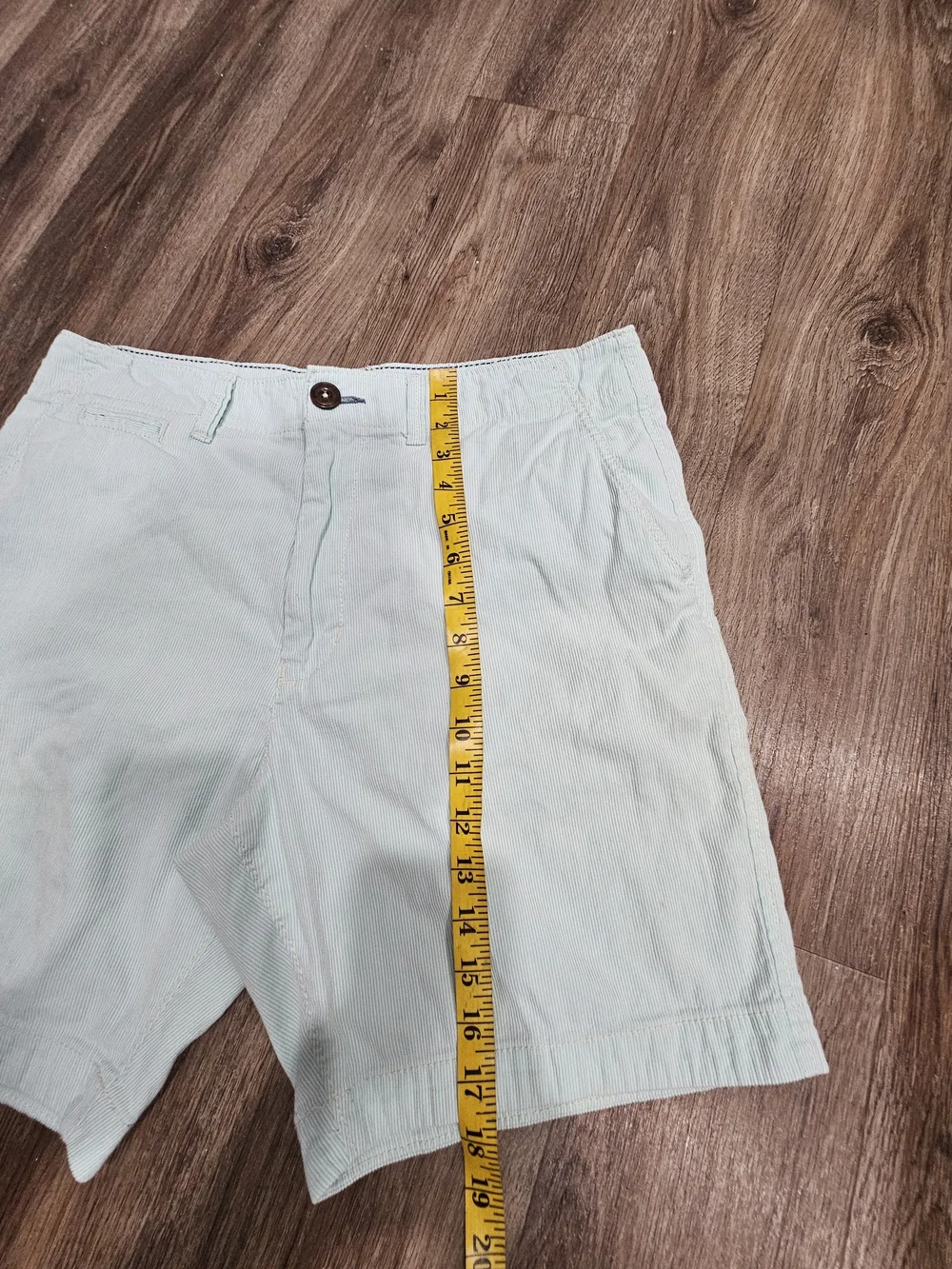 American Eagle Outfitters Mint Green Flat Front Men's Shorts